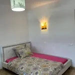 Bucuresti City Studio Apartment *